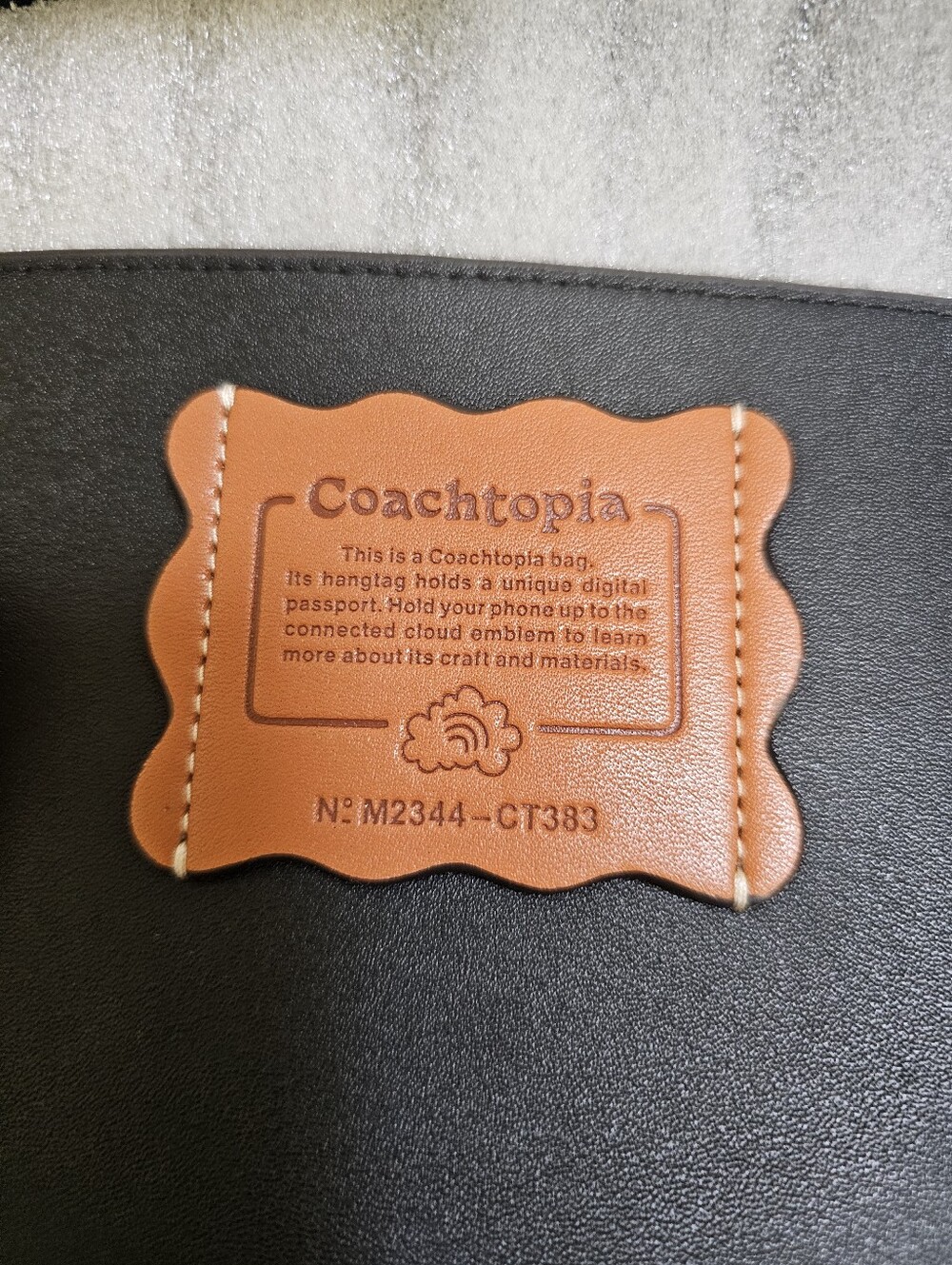 New Cloud Handle Tote in Coachtopia Leather - Picture 9 of 17